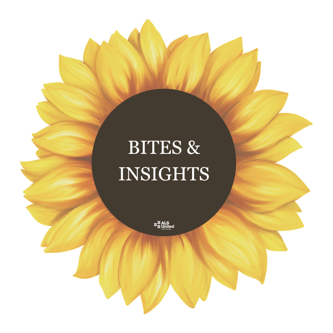 bites and insights 2
